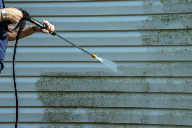 Best Commercial Building Pressure Washing  in Flowing Wells, AZ