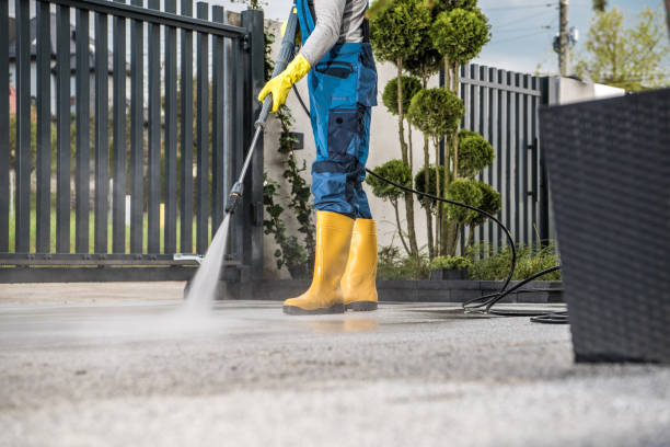 Best Roof Power Washing Services  in Flowing Wells, AZ