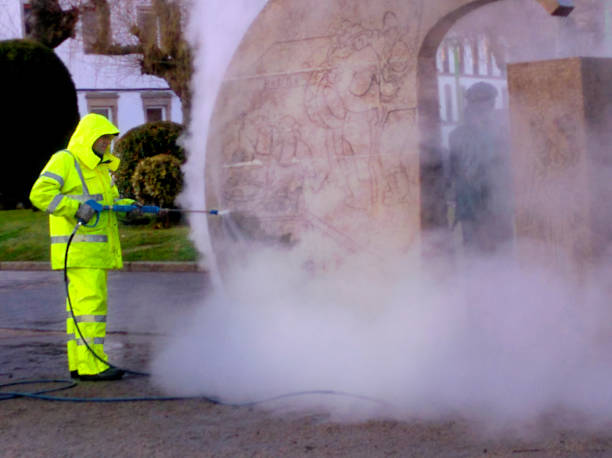 Best Affordable Pressure Washing  in Flowing Wells, AZ