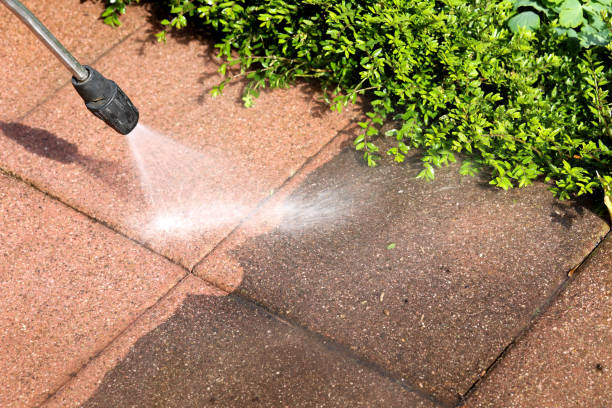 Best Best Pressure Washing Companies  in Flowing Wells, AZ